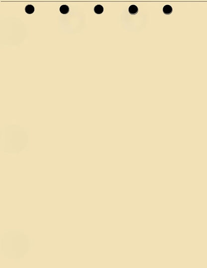 Limited Papers(TM) Writing and Copy Paper, Variation of Colors 8.5" x 11", 5 Hole Top-Punched, 20 Pound Text, 500 Sheets Per Ream. (500, Tan)