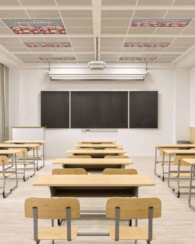 Christmas Red Magnetic Fluorescent Light Covers for Ceiling Lights 2 x 4 Feet,Snowflakes Vintage Owl Watercolor Grey Office Classroom Kitchen Drop Ceiling Light Covers Filters Shade Panel 3 Packs