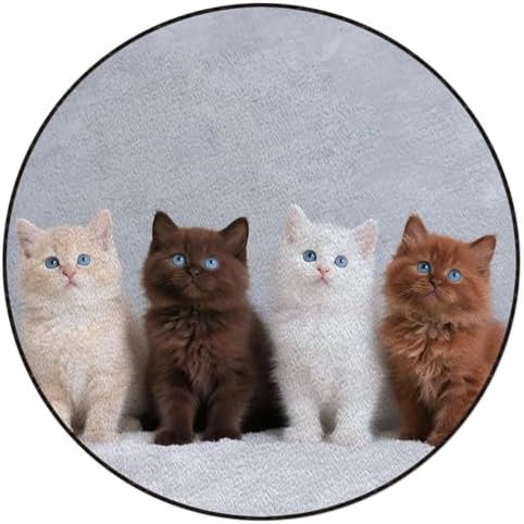 Four Kittens Blue Eyes Round Chair Mat, Portrait Cute Pet Anti-Slip Floor Protector for Gaming & Office Chairs, White Brown Diameter 59 in
