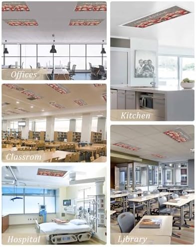 Christmas Red Magnetic Fluorescent Light Covers for Ceiling Lights 2 x 4 Feet,Snowflakes Vintage Owl Watercolor Grey Office Classroom Kitchen Drop Ceiling Light Covers Filters Shade Panel 3 Packs