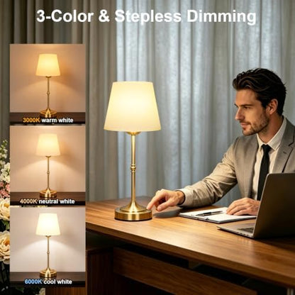 FLY2SKY Rechargeable Gold Cordless Table Lamp,3 Color Dimmable Bedside Lamp