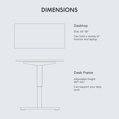 FLEXISPOT EN1 One-Piece Standing Desk with 1-Inch Thick Seamless Desktop, 55"x28" Electric Height Adjustable Desk for Home Office, Multi-Monitor Setups & Easy Assembly, White