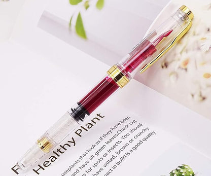 Lanxivi Yongsheng 3011 Demonstrator Clear Classical Fountain Pen Fine Nib Arrow Clip, Piston Filling System, Gold Trim, Set of 4 Pieces in transparent Color