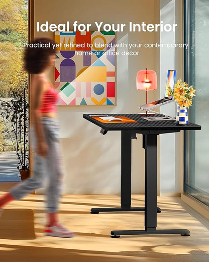 ErGear Height Adjustable Electric Standing Desk, 47.2 x 23.6 Inches Sit Stand up Desk, Memory Computer Home Office Desk with Two-Piece Desktop (Carbon Fiber Black)