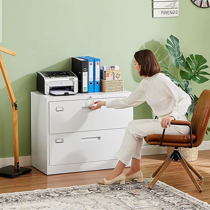 Letaya 2 Drawer Metal Filing Organization Office Cabinets with Lock,Lateral File Cabinets for Home Office Hanging Files Letter/Legal/F4/A4 Size (2 Drawer-White)