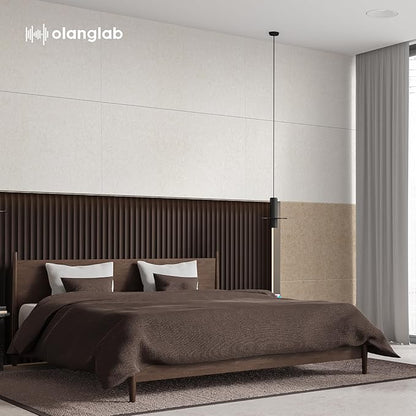 Olanglab Acoustic Wall Panels 10 Pack, 48 x 24 per Acoustic Panels Sound Absorbing, Sound Panels for Home Studio and Office, Plain Light Beige